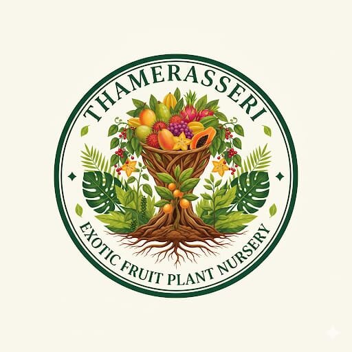 Thamarasseri Exotic Fruit Plant Nursery