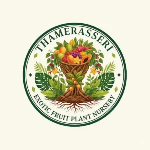 Thamerasseri-Exotic-Fruits-Plant-Nurseri