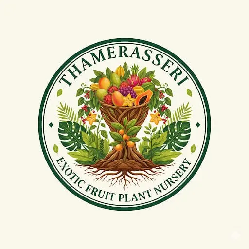 Thamerasseri-Exotic-Fruits-Plant-Nurseri